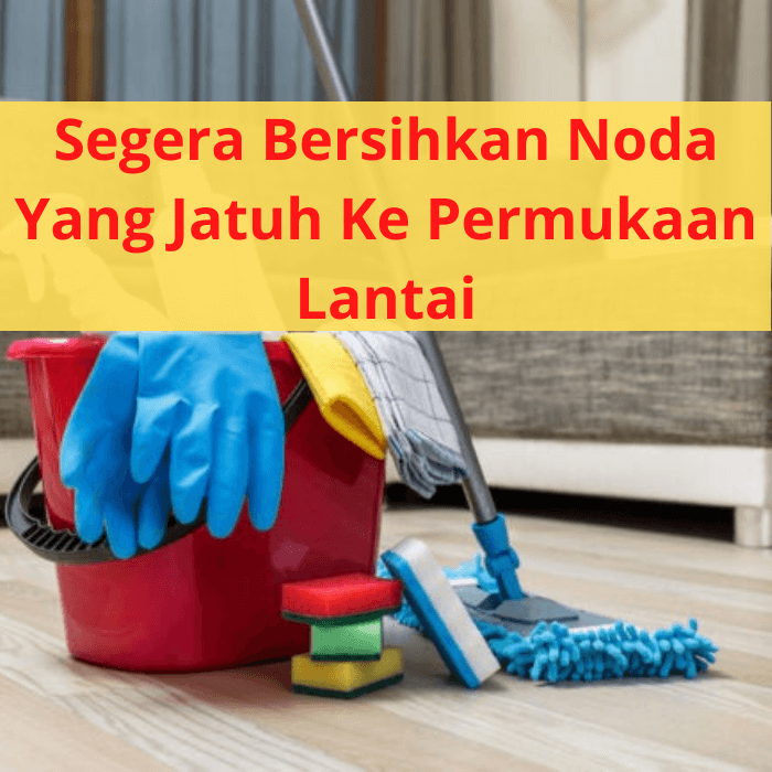 Alat Membersihkan Lantai Vinyl